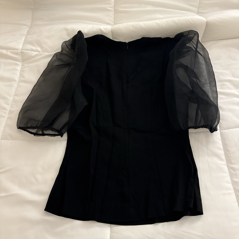 Zara Black Blouse with Sheer Sleeves